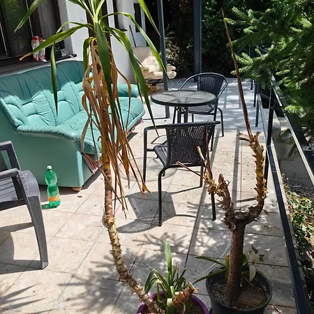 Sunsethouse Garden Banka